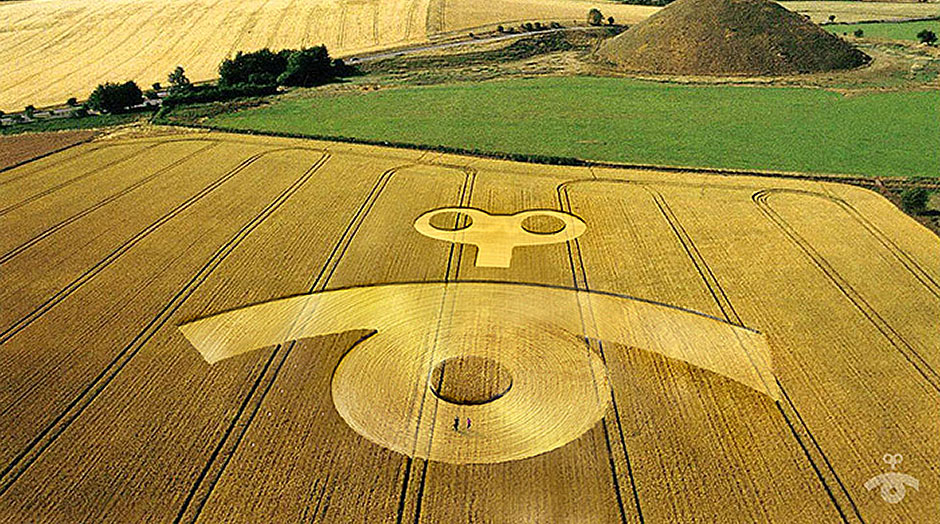campi di grano imagine